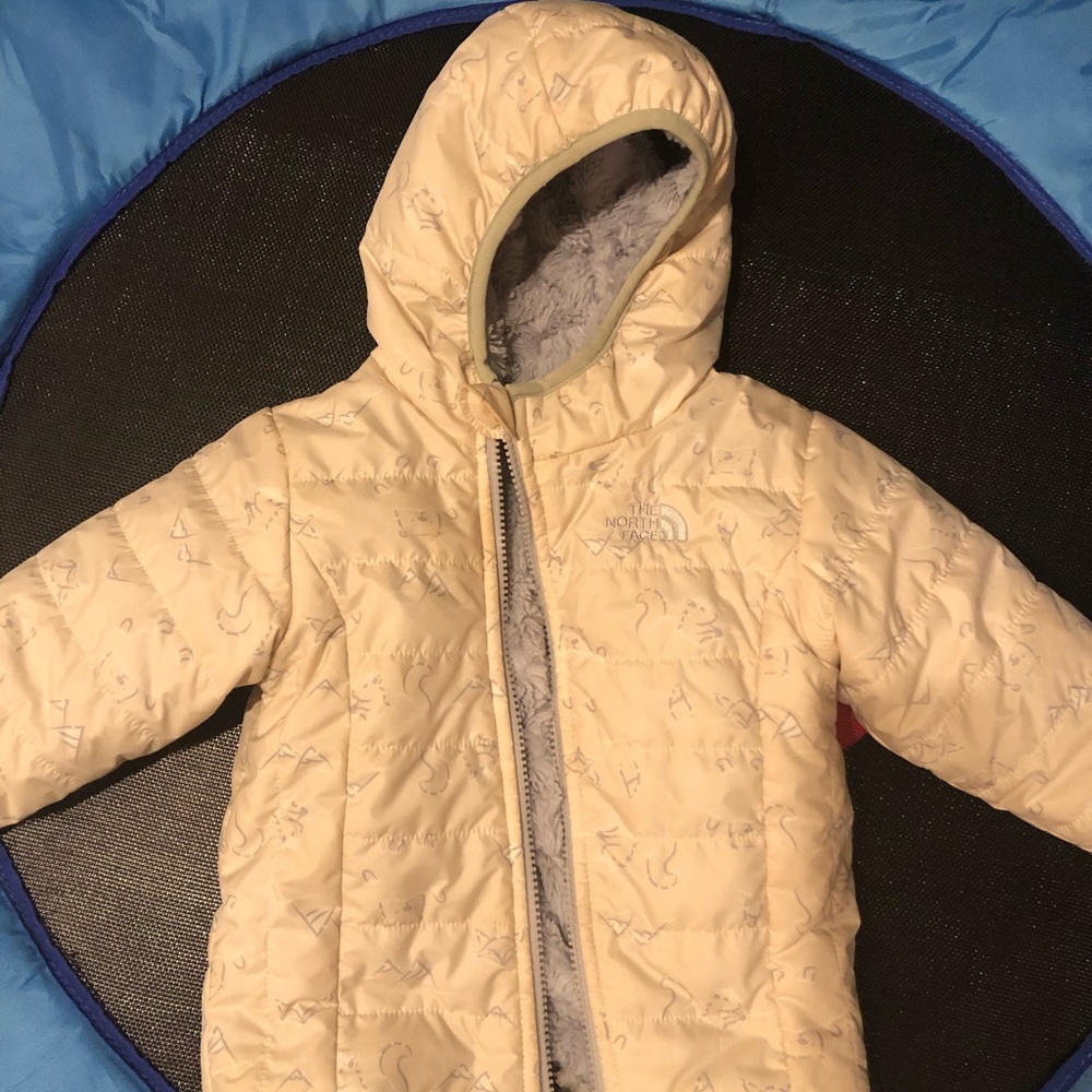 2T Northface winter jacket with fur lining.